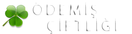 ÖDEMİŞ ÇİFTLİĞİ